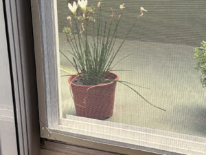 Mosquitero Imanflex Classic corrediza con babetas